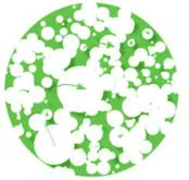 Silicone foam sheet goods