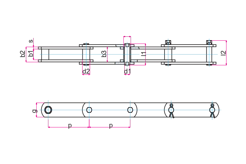 Bush conveyor chains